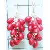 KELK04A14 Expensive Look Low Price Earring